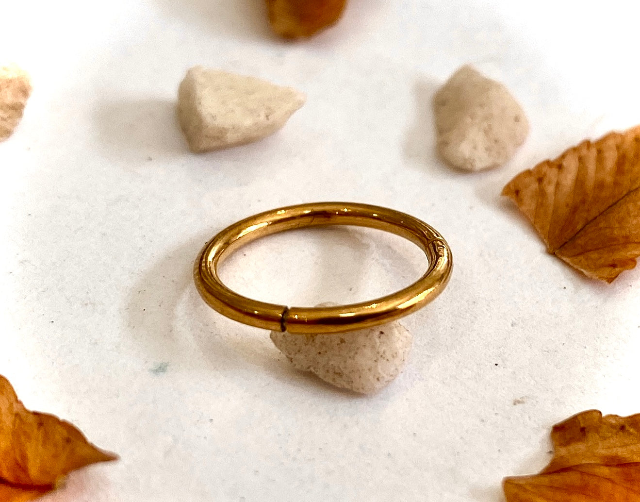 Argola lisa click chicago