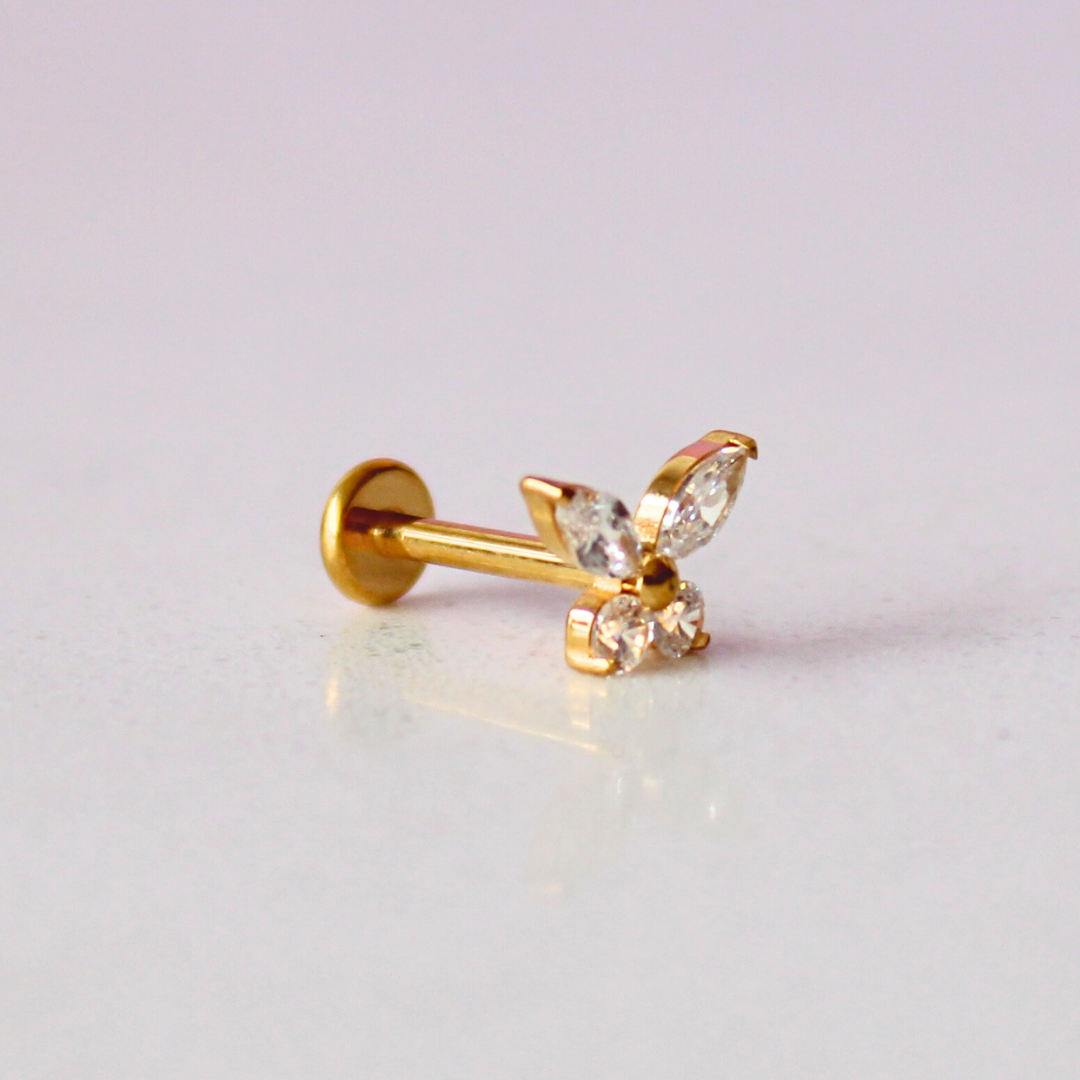 Borboleta zircônia Kyoto