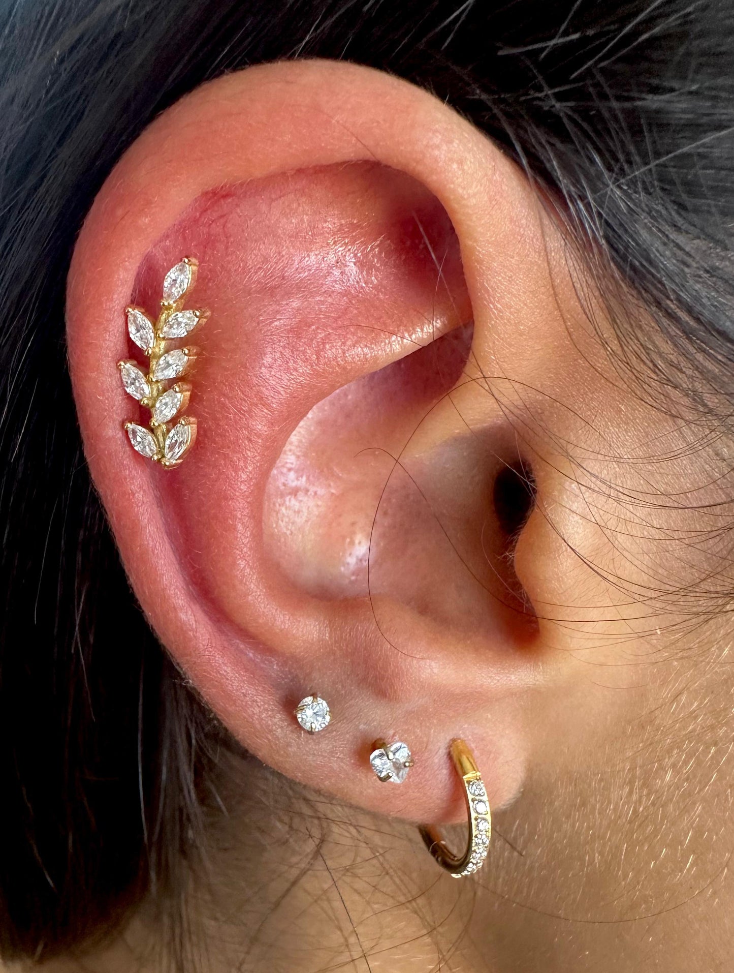 Cluster Ramo Amsterdã