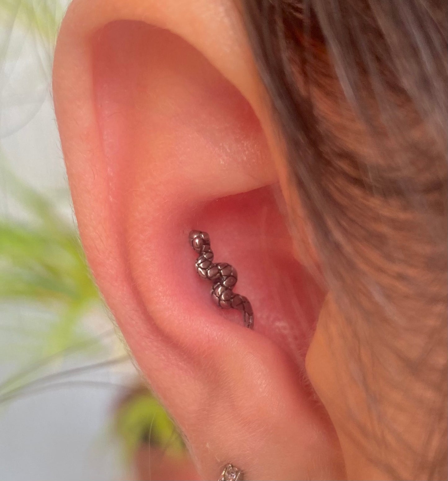 Cobrinha Sorrateira Xangai