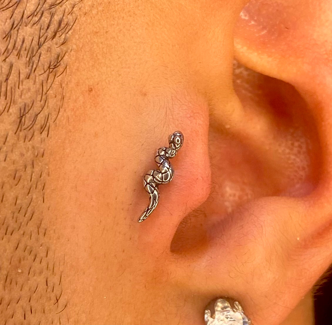 Cobrinha Sorrateira Xangai