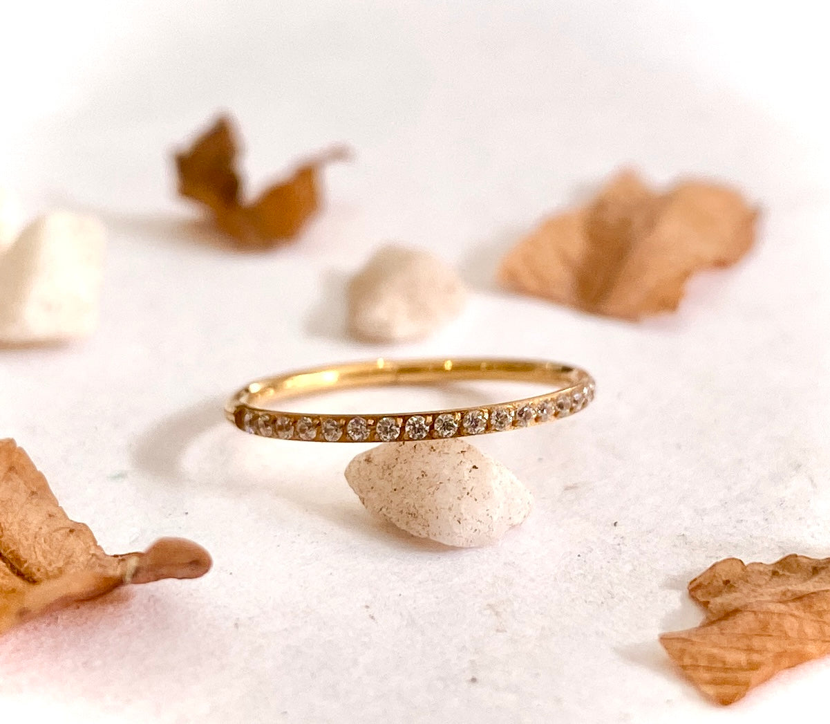 Argola Cravejada Paris