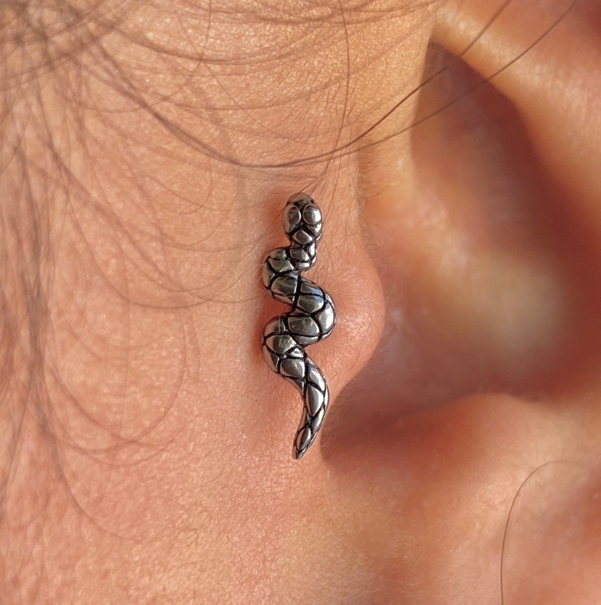 Cobrinha Sorrateira Xangai