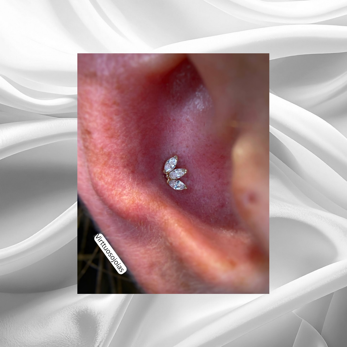 Marquise Ornomental Viena