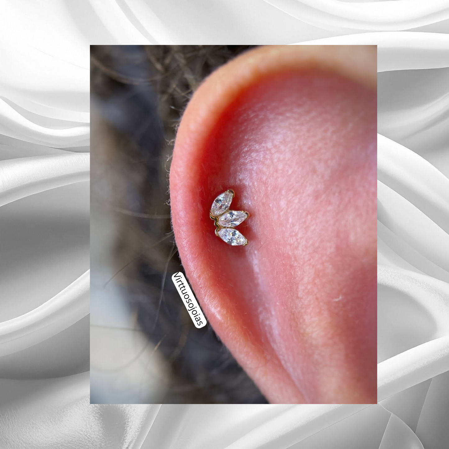 Marquise Ornomental Viena