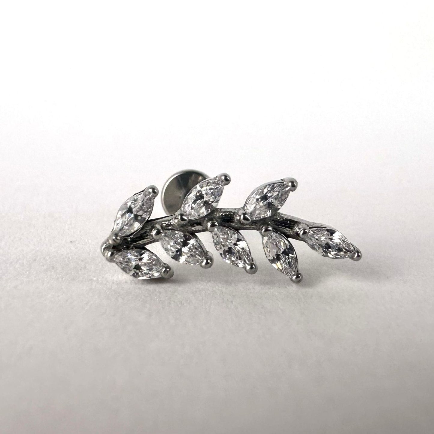 Cluster Ramo Amsterdã