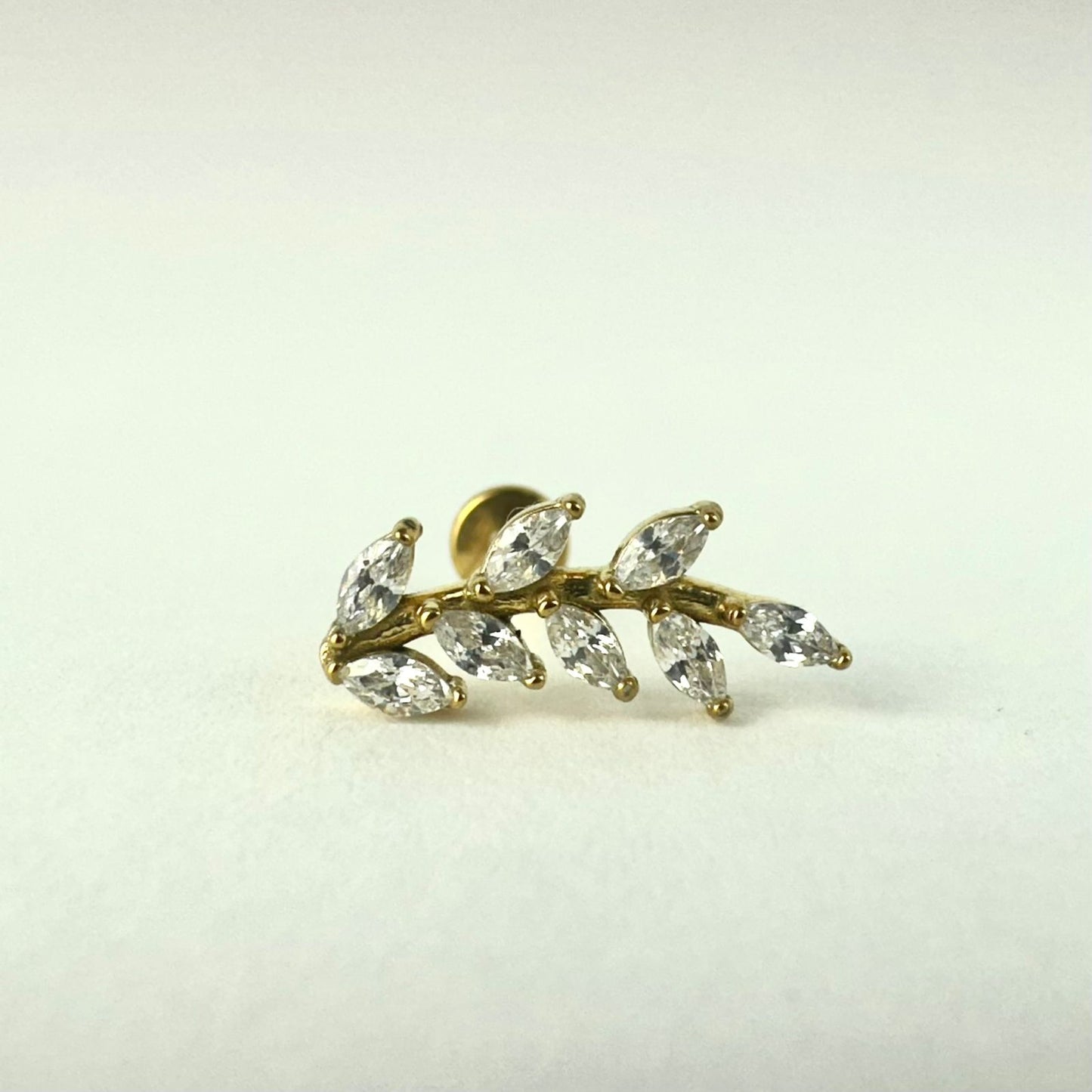 Cluster Ramo Amsterdã