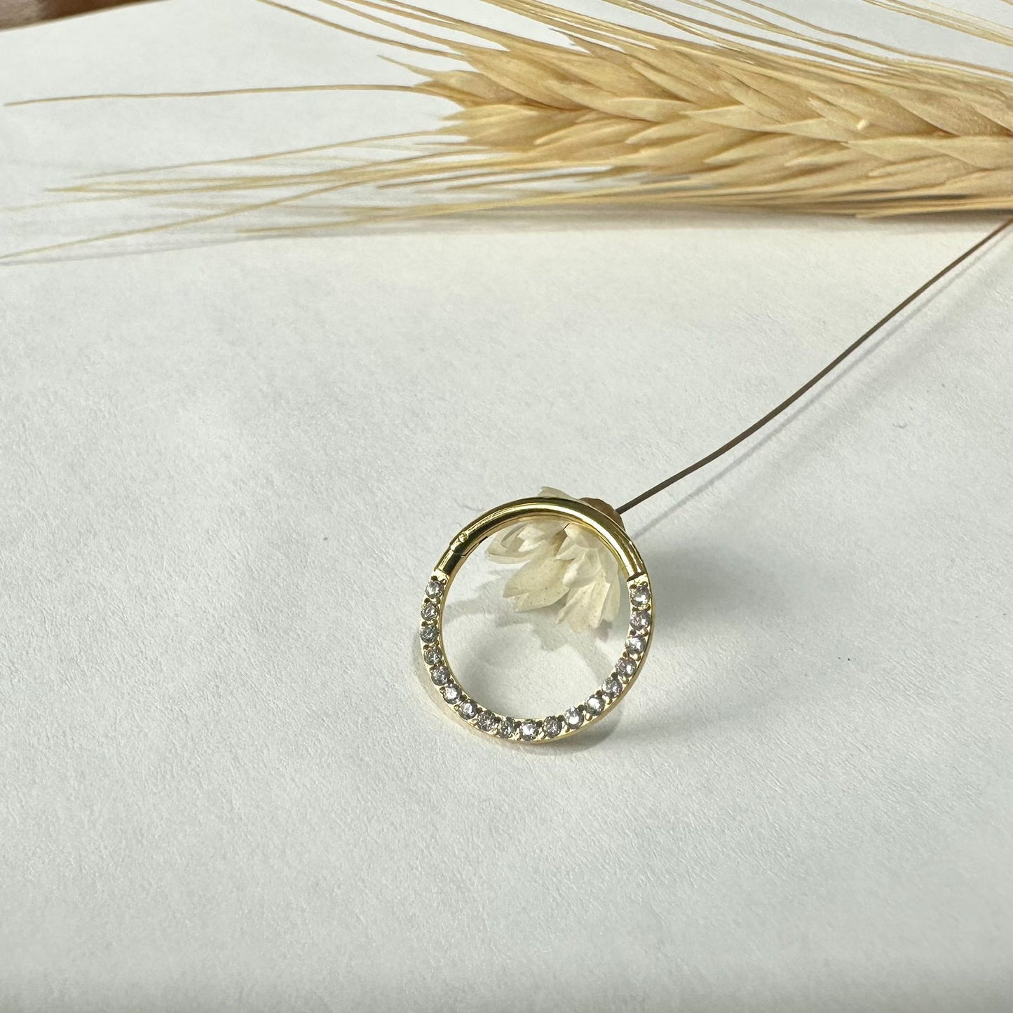 Argola  Cravejada Singapura